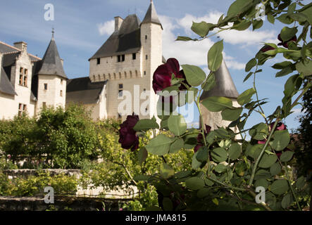 Chateau du Schlosses et ses Jardins de Contes des Fées, Loire-Tal Stockfoto