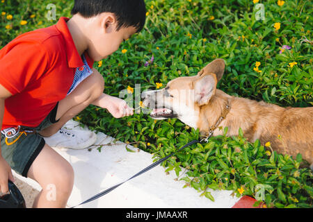 Kind umarmt liebevoll seinen Hund, einen Pembroke Corgi Stockfoto