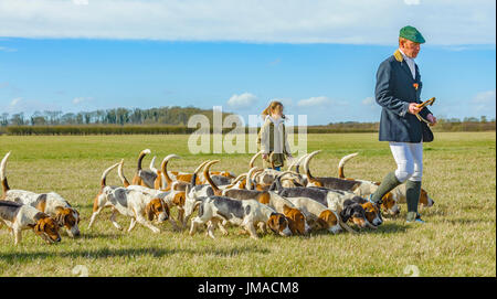 Die East Lincs (Lincolnshire) Basset Hounds - The Huntsman, mit einem jungen Helfer und das Pack von Hunden Weg für den Tag Jagd Kreuzung Wiese Stockfoto