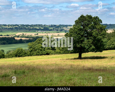 Blick über das Tal von der Wharfe Ebor Weg Fußweg an der North Park Harewood, West Yorkshire England Stockfoto