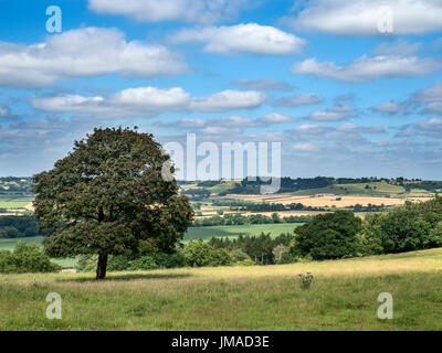 Blick über das Tal von der Wharfe Ebor Weg Fußweg an der North Park Harewood, West Yorkshire England Stockfoto