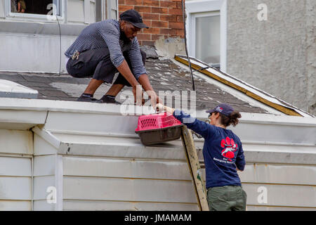 West-Philadelphia, USA. 26. Juli 2017. Eine freiwillige hilft ein vertriebenen Bewohner retten einen Haustieren Katze aus einem eingestürzten Haus in der Nähe von Market Street in West-Philadelphia, vermutlich durch Aufbau auf einem Nachbargrundstück (Vordergrund), Mittwoch, 26. Juli 2017 verursacht werden. Bildnachweis: Michael Candelori/Alamy Live-Nachrichten Stockfoto