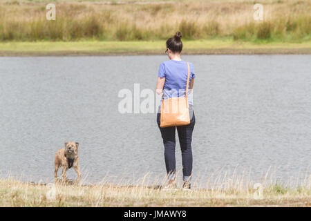 London, Großbritannien. 27. Juli 2017. Ein Hund Walker genießt die midl warme Wetter auf Wimbledon Common als milde Temperaturen bleiben vor schweren und anhaltenden Regen erwartet, die sich über viele Teile Großbritanniens Kredit ist: Amer ghazzal/alamy leben Nachrichten Stockfoto