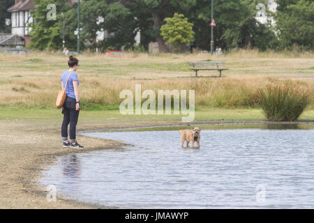 London UK. 27. Juli 2017. Eine Dogwalker genießt die Midl warmem Wetter auf Wimbledon Common, wie Temperaturen mild vor schweren bleiben und anhaltenden Regen dürfte Verbreitung in vielen Teilen von Großbritannien Credit: Amer Ghazzal/Alamy Live-Nachrichten Stockfoto