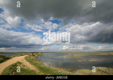 Blick über Keyhaven Küsten Sümpfe, überwinternde wichtiger Standort für Vögel in Hampshire, UK, mit Gewitterwolken nähert sich Stockfoto