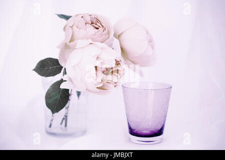 Studieren Sie in der Farbe der Rose Jude obskuren Stockfoto