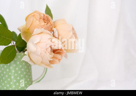 Studieren Sie in der Farbe der Rose Jude obskuren Stockfoto