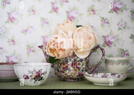 Studieren Sie in der Farbe der Rose Jude obskuren Stockfoto