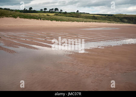 Allgemeine Strandszenen Lunan Bay. Angus. Stockfoto