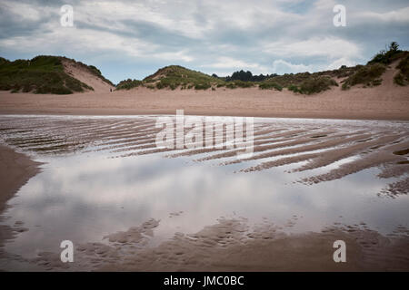 Allgemeine Strandszenen Lunan Bay. Angus. Stockfoto