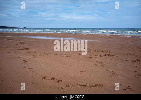 Allgemeine Strandszenen Lunan Bay. Angus. Stockfoto