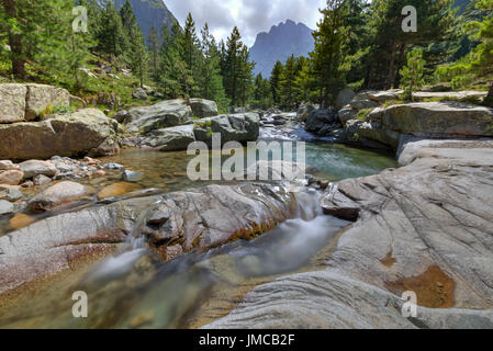 Gorges De La Restonica, Korsika, Frankreich Stockfoto