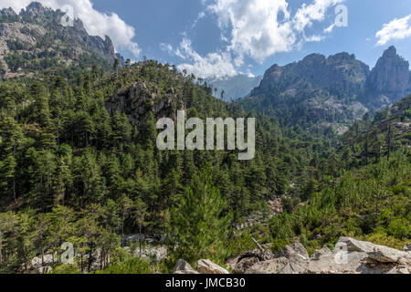 Gorges De La Restonica, Korsika, Frankreich Stockfoto