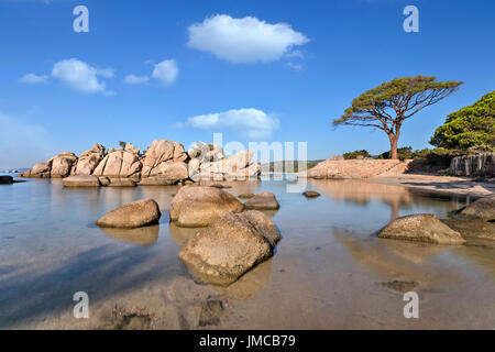 Palombaggia Beach, Porto-Vecchio, Korsika, Frankreich Stockfoto