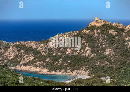 Lion De Roccapina, Corscia, Frankreich Stockfoto