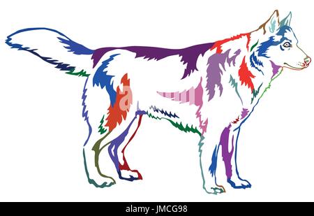 Dekorative Kontur Porträt stehen im Profil Hund Siberian Husky, isoliert bunten Vektor Illustration auf weißem Hintergrund Stock Vektor