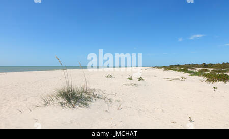 Strand von Sanibel Island, Florida, USA Stockfoto