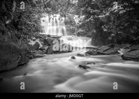 Schwarz / weiß Foto von Regenwald Wasserfall und am Fluss Landschaft genommen in den Nationalparks von Sarawak, Malaysia Stockfoto