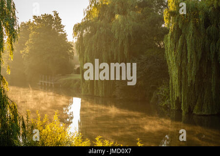 Erste Licht. Stockfoto