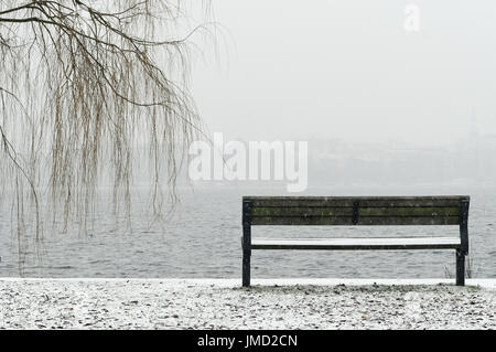 Bank und Baum am Ufer der Alster in Hamburg an einem Wintertag Stockfoto
