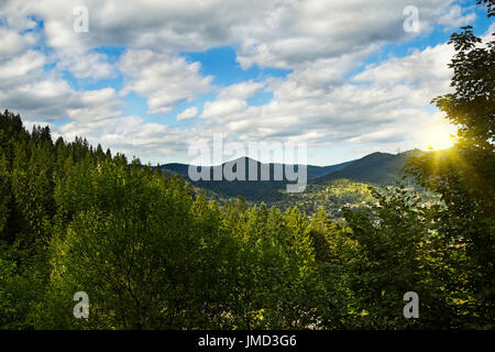 Grünen, grünen Wald und Tal in die Berge der Karpaten, Ukraine Stockfoto