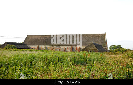 Ein Blick auf die große Scheune an waxham, Norfolk, England, Vereinigtes Königreich. Stockfoto