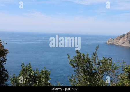 Klare blaue Meer und Himmel mit Zweigen von Bäumen, stossen von unten von einem Wanderweg in den Cinque Terre, Italien Stockfoto