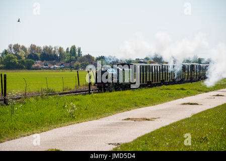 Schmalspur-Dampfzug wallenden Rauch und Dampf Stockfoto