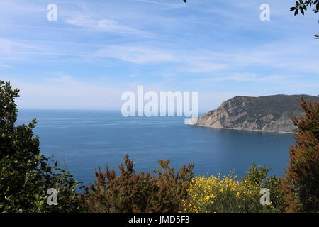 Farbenfrohe Pflanzen auf einer Klippe gegen den klaren blauen Himmel und Meer bilden eine Landschaft Ansicht Form ein Wanderweg in den Cinque Terre, Italien Stockfoto