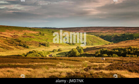 Fen Moor North York Moors Stockfoto