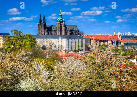 Europa, Tschechische Republik, Tschechien, Prag, Praha, Altstadt, UNESCO, Panorama, Prager Burg, Prazsky Hrad, St. Vitus Cathedral, Katedrala Svateho Vita Stockfoto