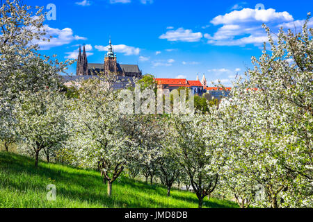 Europa, Tschechische Republik, Tschechien, Prag, Praha, Altstadt, UNESCO, Panorama, Prager Burg, Prazsky Hrad, St. Vitus Cathedral, Katedrala Svateho Vita Stockfoto