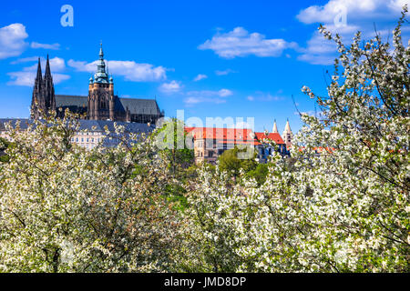 Europa, Tschechische Republik, Tschechien, Prag, Praha, Altstadt, UNESCO, Panorama, Prager Burg, Prazsky Hrad, St. Vitus Cathedral, Katedrala Svateho Vita Stockfoto