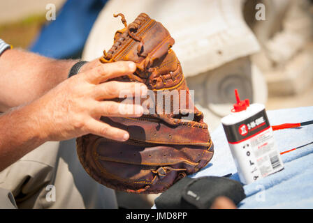 Ein Baseballspieler ölt seinen Handschuh mit Haushaltsöl, um ihn aufzuweichen und zu bewahren Stockfoto