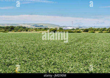 Landschaft von Gezeiten Mühle über famers Felder in Richtung Newhaven Nachverbrennungsanlage Stockfoto