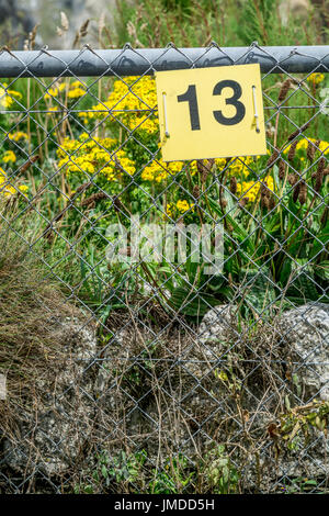 Gelbe Reihe, 13 Zeichen - eine Zahl, die Pech für einige, und auch ein Bäcker Dutzend. Ungerade Zahl. Stockfoto
