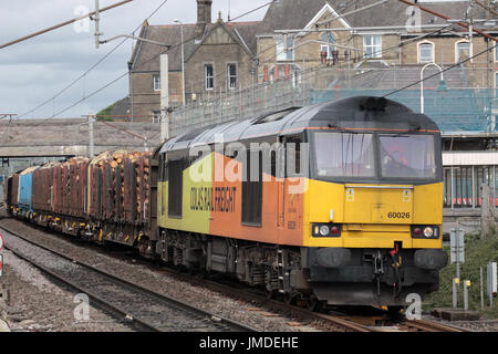 Klasse 60 dieselelektrische Lokomotive in Colas Rail Livree, mit einem Holz-Zug passieren Carnforth auf der West Coast Main Line. Stockfoto