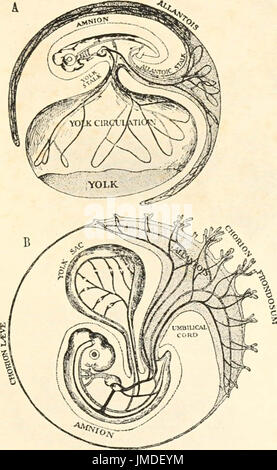 "Die Evolution der Erde und ihrer Bewohner; eine Serie ausgeliefert vor dem Yale-Kapitel der Sigma Xi während des akademischen Jahres 1916-1917' (1918) Stockfoto