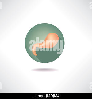 Magensymbol. Web-Schaltflächen für die menschliche Anatomie eingestellt. Stockfoto