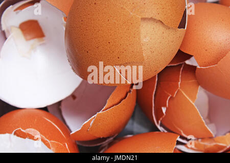 Eierschalen Stockfoto