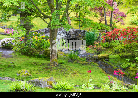 Steinbrücke über Bach im Frühjahr japanischer Garten Stockfoto