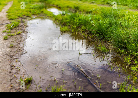 Pfütze im grünen Wiese von Trail mit Regen Tropfen und Wellen closeup Stockfoto