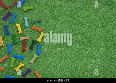 bunte Hund Knochen auf grünen Rasen Hintergrund Stockfoto