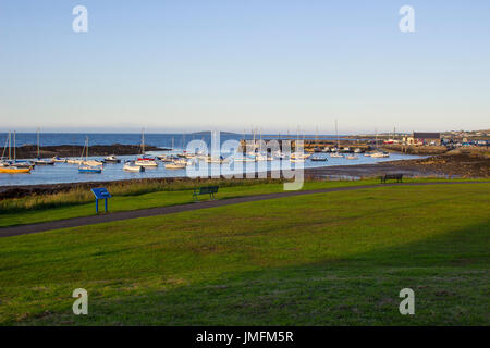 Boote auf ihren Liegeplätzen neben Cockle Insel in den Gezeiten Naturhafen am Groomsport in Co Down, Nordirland mit Belfast Lough in der Hinterg Stockfoto