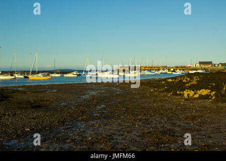 Boote auf ihren Liegeplätzen neben Cockle Insel in den Gezeiten Naturhafen am Groomsport in Co Down, Nordirland mit Belfast Lough in der Hinterg Stockfoto