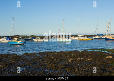 Boote auf ihren Liegeplätzen neben Cockle Insel in den Gezeiten Naturhafen am Groomsport in Co Down, Nordirland mit Belfast Lough in der Hinterg Stockfoto