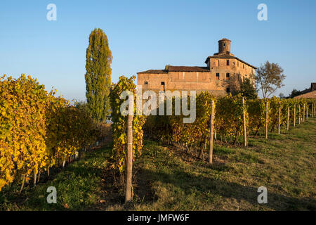 Italien, Piemont, Langhe, Weinberge rund um Barolo im Herbst Stockfoto