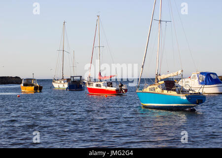 Boote auf ihren Liegeplätzen neben Cockle Insel in den Gezeiten Naturhafen am Groomsport in Co Down, Nordirland mit Belfast Lough in der Hinterg Stockfoto