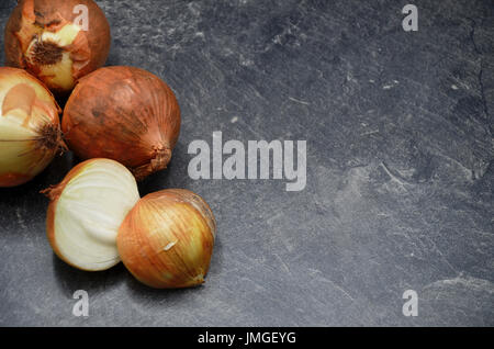 Zwiebel auf schwarzem Hintergrund Stockfoto