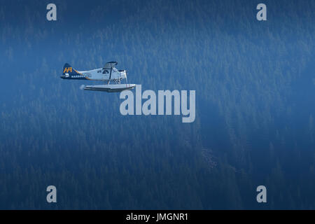 Klassische Harbour Air Services de Havilland Beaver Wasserflugzeug fliegen über einem abgelegenen Wald In British Columbia, Kanada. Stockfoto